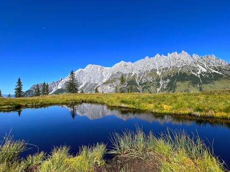Hochkönig mountain range with snow-capped peaks perfectly reflected in the calm waters of Spiegelsee, surrounded by green meadows and spruce trees.
