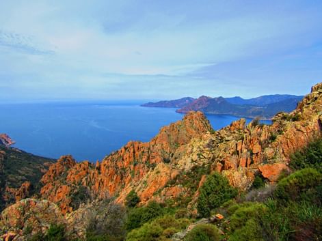 Felsformation in "Calenque de Piana"