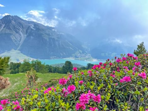 Panoramablick auf den Reschensee