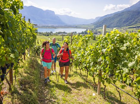 Wanderer wandern entlang der Weingärten mit Blick auf den Kalterer See