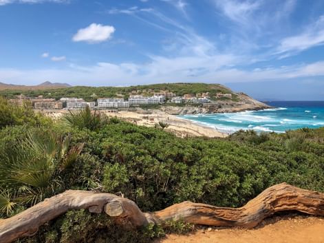Cala Mesquida