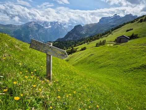 Landschaftsbild Abstieg Trins
