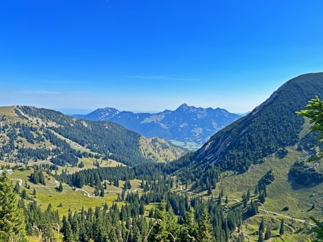 Blick auf ein Tal in den bayerischen Alpen mit bewaldeten Hängen, grünen Wiesen und fernen Berggipfeln unter blauem Himmel.