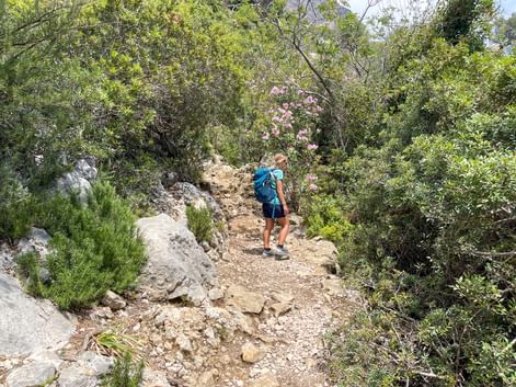 Wanderin mit blauem Rucksack auf steinigem Pfad durch mediterrane Vegetation auf Zypern-Bergwanderweg.