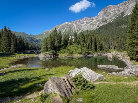 Obernberger See with rocks and grass in foreground, surrounded by coniferous forest. Layered mountain cliffs rise behind under blue sky.