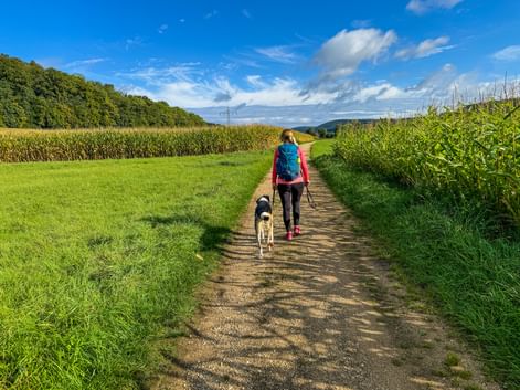 Woman with blue backpack hiking with dog on dirt path between cornfields near Treuchtlingen, Altmühltal, under blue sky with clouds.