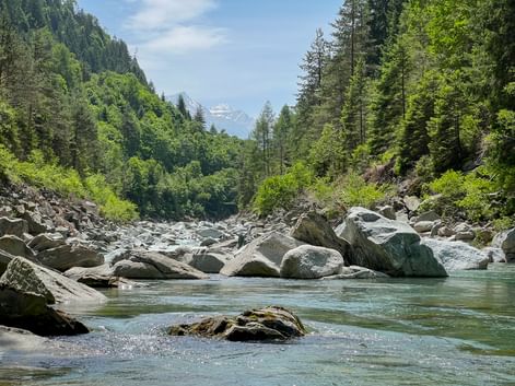 Rocky riverbed of Hinterrhein on Via Spluga with large boulders, turquoise water, forested slopes, and snow-capped mountain in distance.