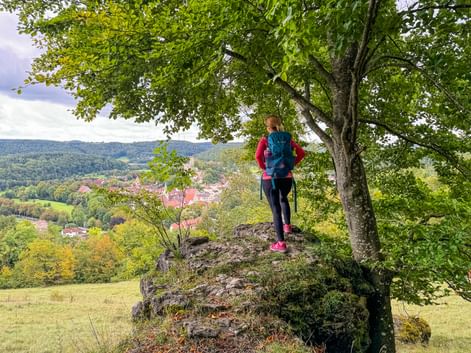 Female hiker with backpack standing on rocky outcrop under large tree, overlooking village of Pappenheim in Altmühltal valley with green hills.