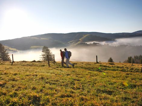 Hiking pair at the foggy Black Forest