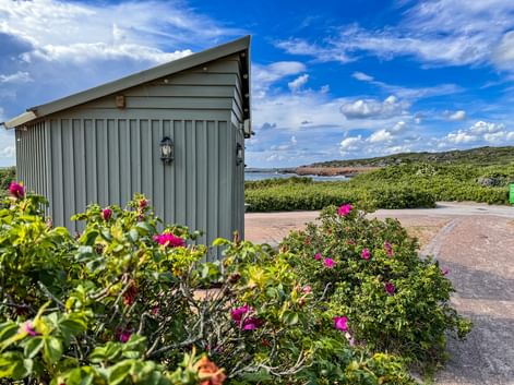 Strandhütte, umgeben von blühenden Pflanzen, am Wanderweg Kullaleden.
