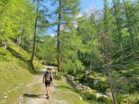 Hiker on the hiking trail near the Bachlalm