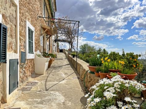 Terrasse einer typischen Finca in Orient