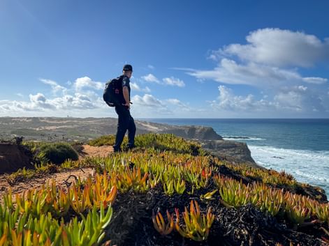 Wanderer mit Rucksack auf Klippe mit bunten Sukkulenten mit Blick auf den Atlantik an der Rota Vicentina in Portugal.