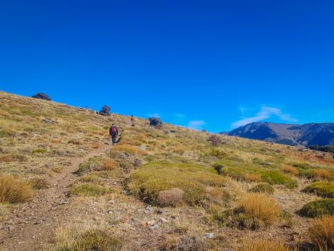 Wanderer steigen einen grasbewachsenen Berghang in den Alpujarras, Andalusien, hinauf. Klarer blauer Himmel, Berge im Hintergrund.