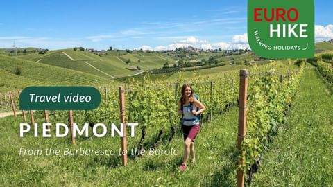 Female hiker with backpack standing in green vineyard rows in Piedmont, with rolling hills and blue sky in background.