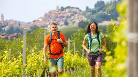 Wanderer in den Weinbergen nahe Montforte