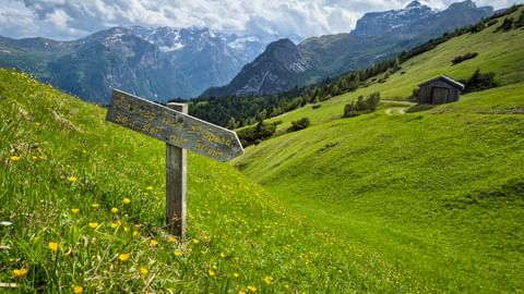 Landscape view descent Trins