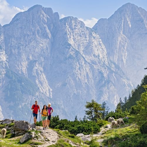 Mountain range at the Vrsic Pass