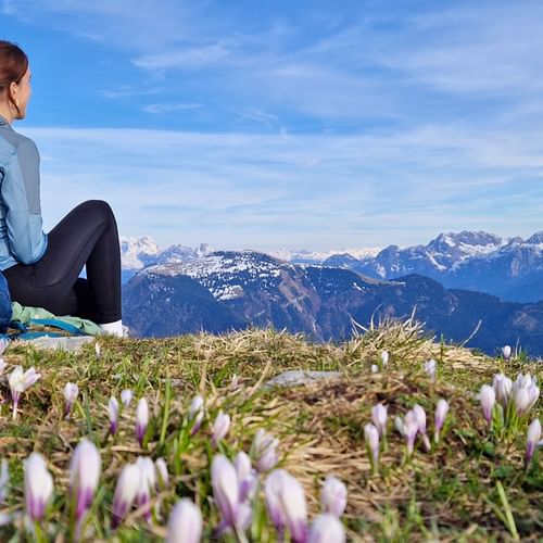 Fruehlingsblumen am Schlenken