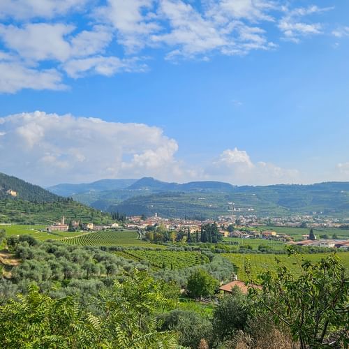 Wanderreise von Verona zum Gardasee