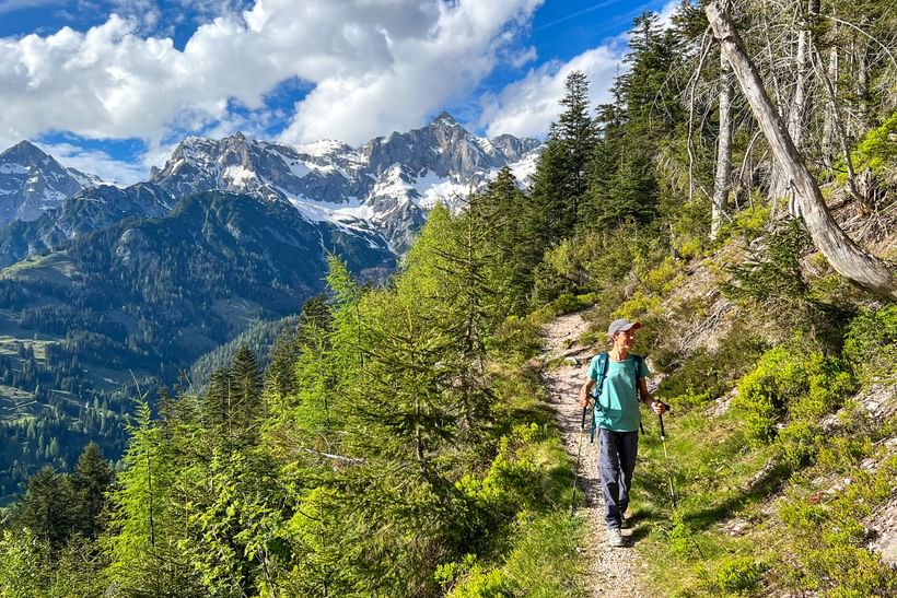 Hoher backpack cheap