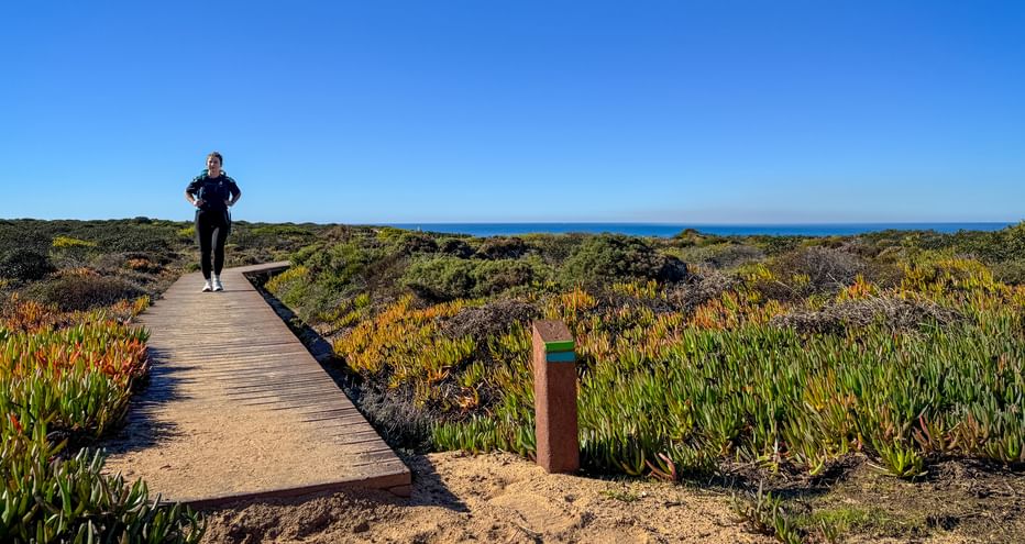 Wanderer auf Holzsteg durch Küstenvegetation auf der Rota Vicentina im Alentejo, Portugal. Ozean in der Ferne unter blauem Himmel sichtbar.