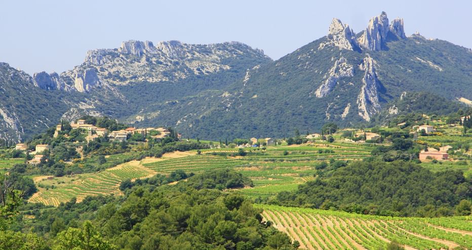 Montmirail landscape overlooking the fields