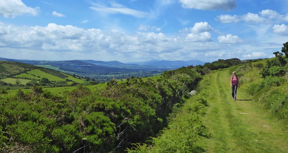 Woman walker on the Wicklow Way with rolling hills in the background