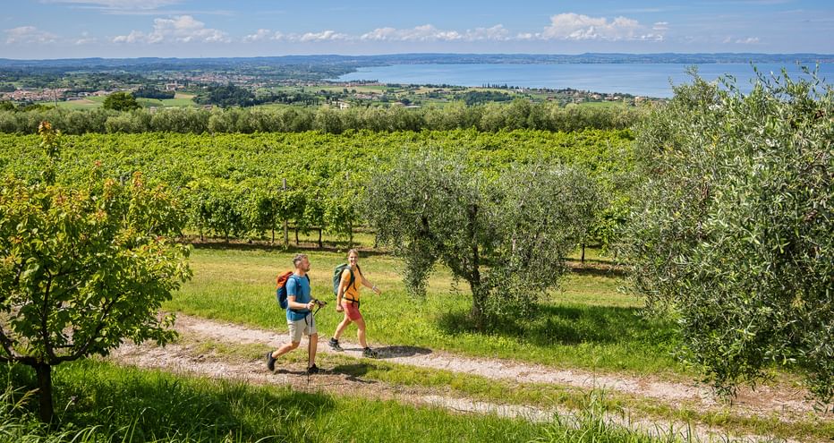 Zwei Wanderer auf Weg durch Olivenhaine und Obstgärten bei Cavaion Veronese mit Panoramablick auf den Gardasee und Berge.
