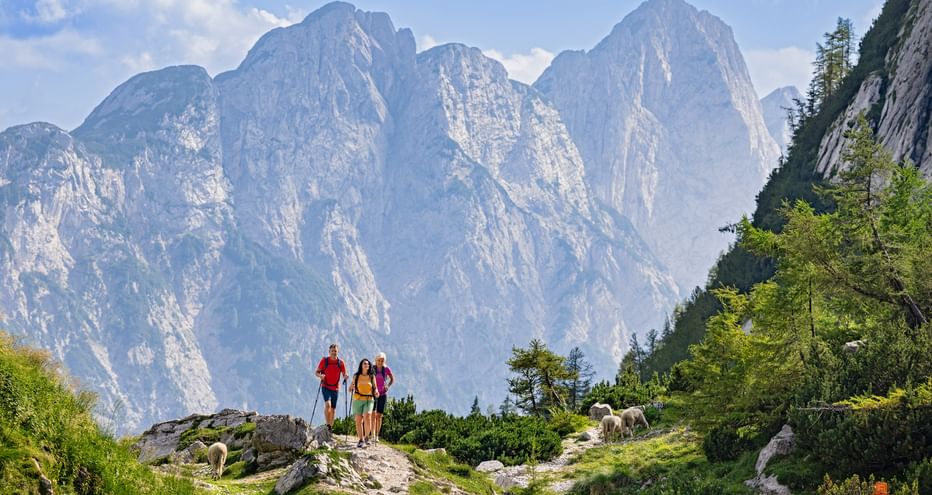 Mountain range at the Vrsic Pass