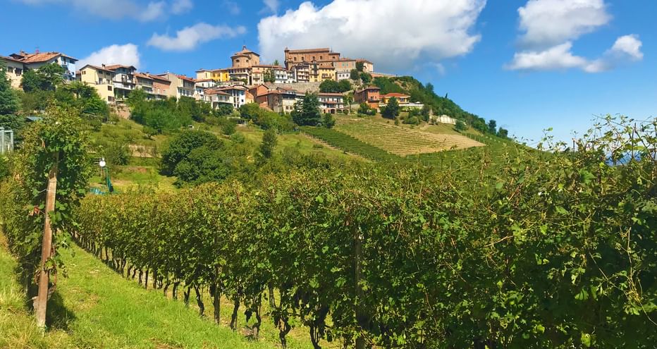 Panoramic view of Barolo