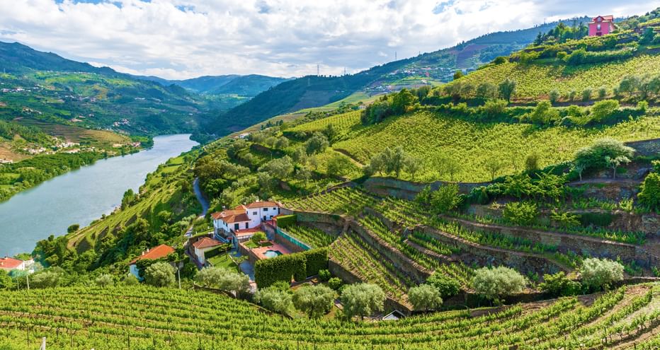 View of the Douro Valley