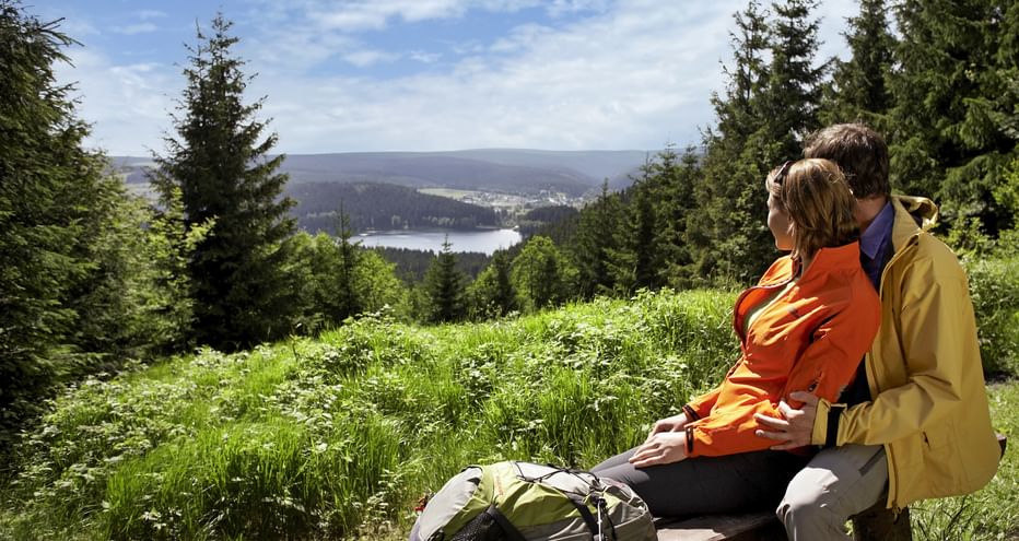 Wanderrast im Thüringer Wald