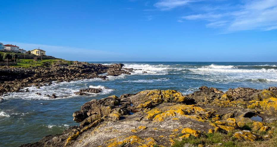 Rocky coastline with yellow lichen-covered stones at A Guarda. White waves crash against dark rocks, houses visible on green hillside.