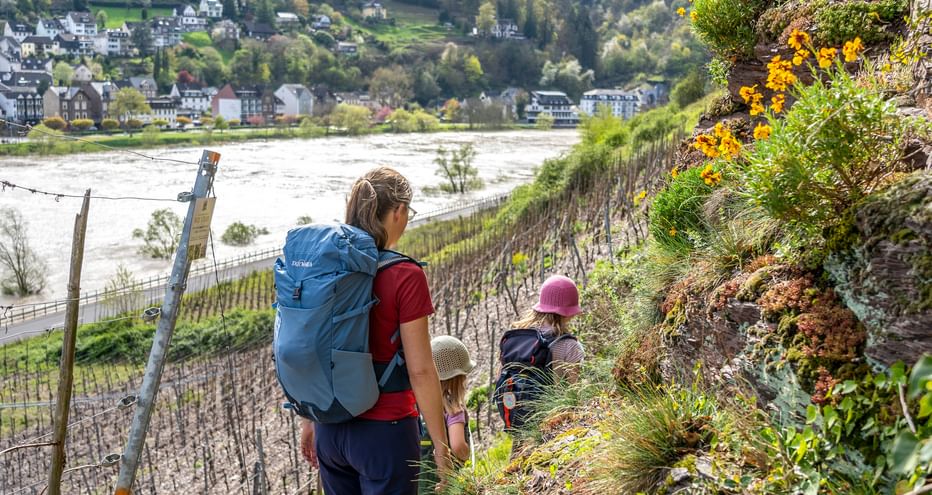 Familienwanderung entlang der Mosel