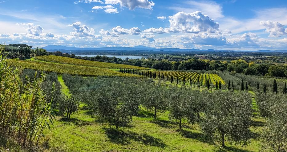 Wanderreise Franziskusweg am Trasimenersee