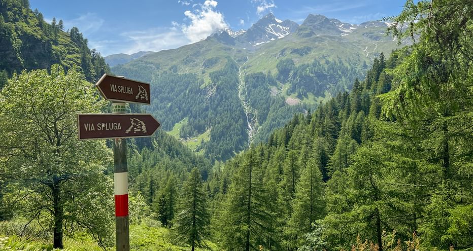 Wooden trail signs pointing to Via Spluga hiking route with snow-capped Alpine peaks, green forested valleys, and blue sky in Switzerland.