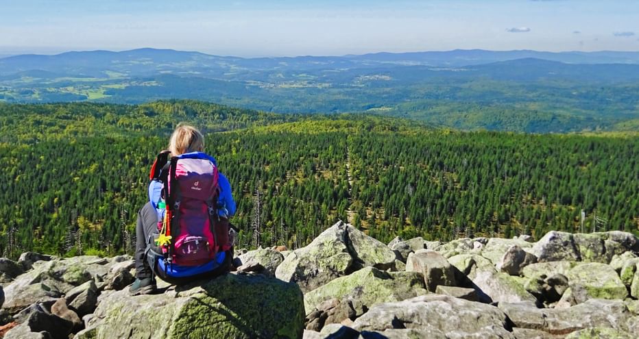 Wanderrast am Lusen mit Blick ins Tal