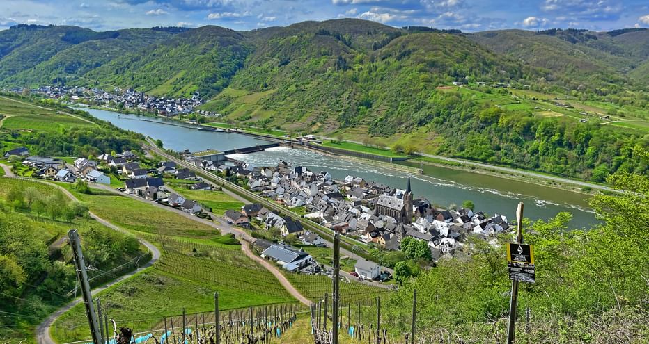 View from the vineyards to a Moselle lock and a picturesque village