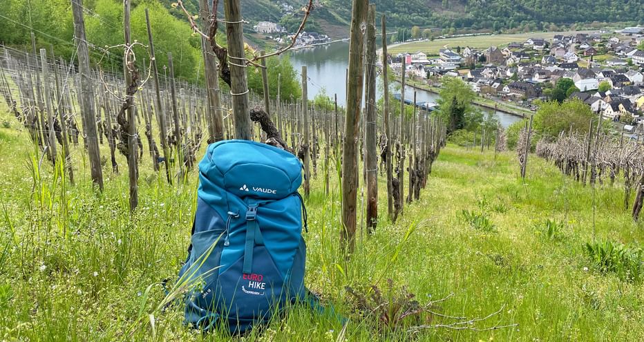 Eurohike backpack between vines on the Calmont Steig on the Moselle