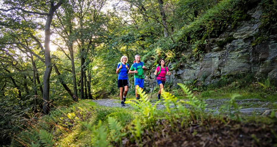 3 Wanderer bei Morgenstimmung im Wald
