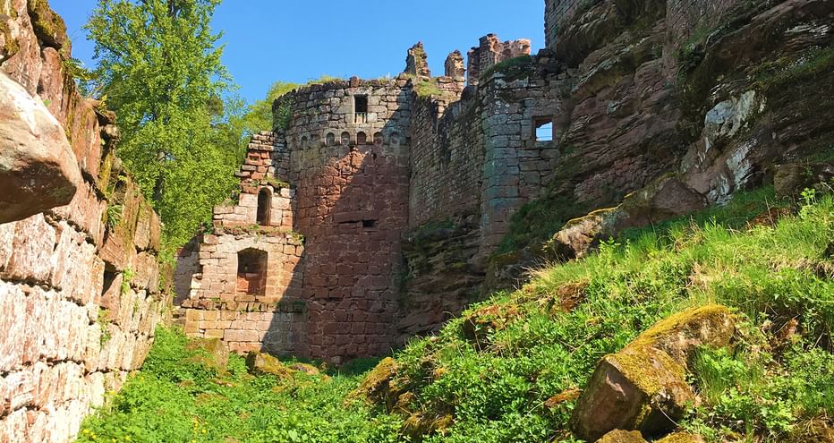 Schöneck castle ruin near Dambach