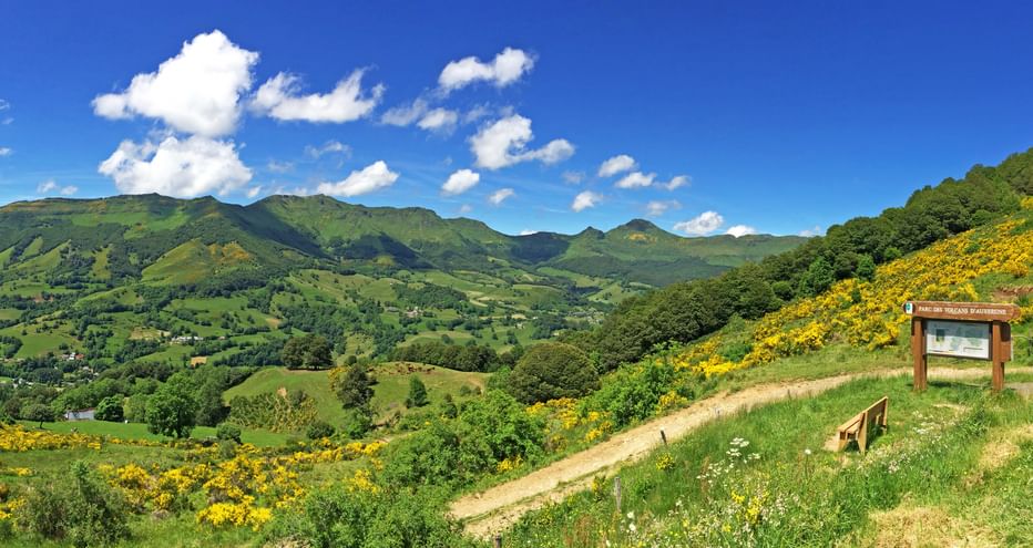 Wanderweg im Parc de Volcans mit gelb blühenden Sträuchern und grünen Bergen im Hintergrund