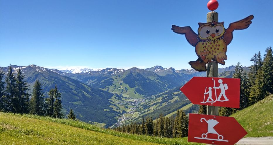 Wanderpanorama mit Eulenwegweiser am Familien-Erlebnisweg bei Saalbach-Hinterglemm