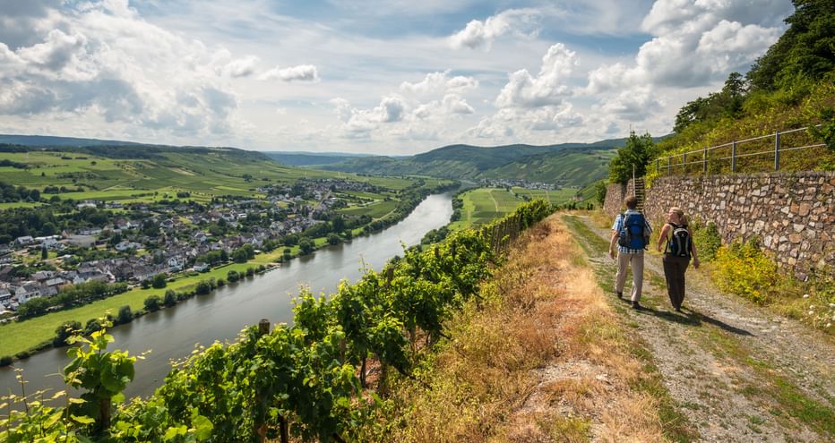 2 Wanderer am Brauneberg oberhalb der Mosel