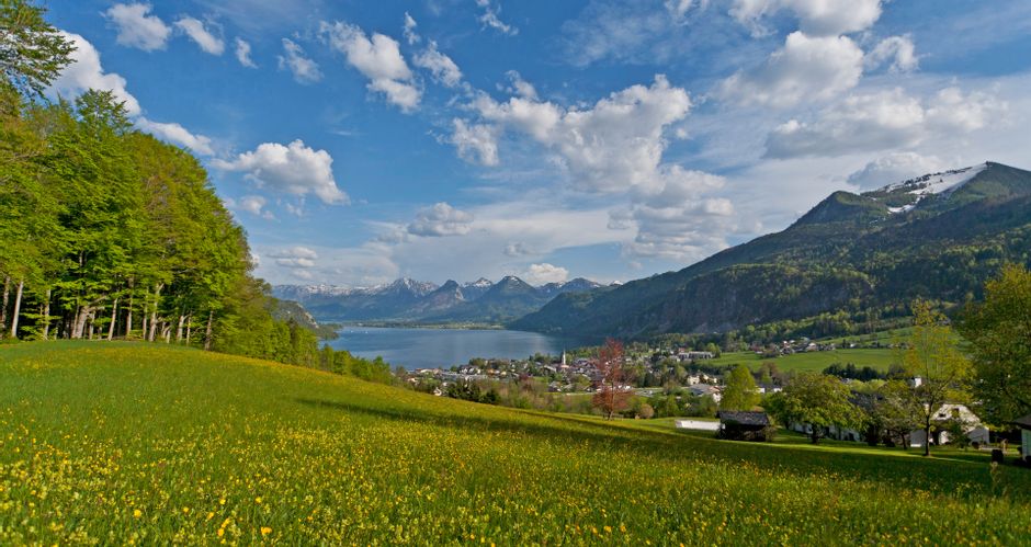 Blick auf den Wolfgangsee mit Blumenwiese und St. Gilgen im Vordergrund und dem Bergpanorama im Hintergrund