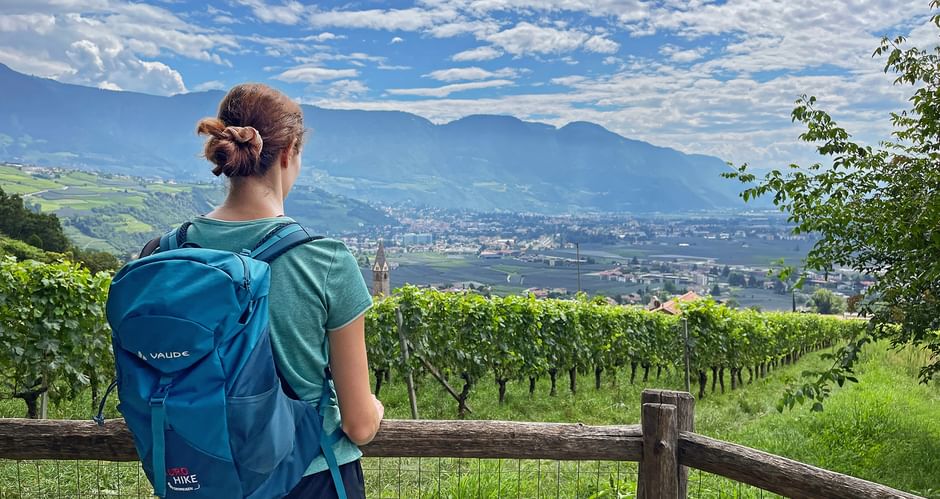 Female hiker with blue backpack at wooden fence overlooking vineyards and valley in Vinschgau. Mountains and town visible under cloudy sky.