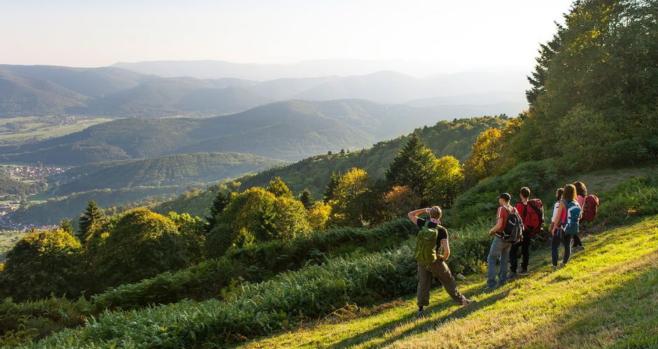 Hiking enthusiasts with a beautiful view of the Vosges peaks