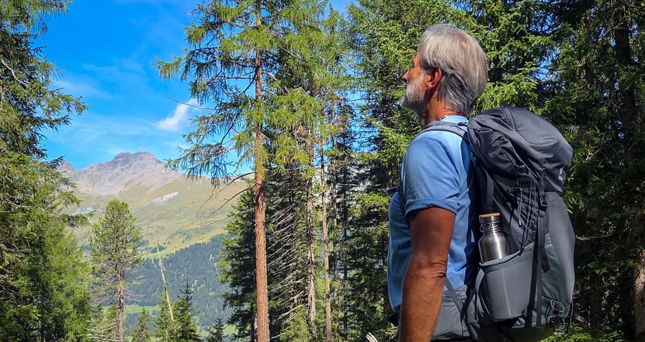 Hiker with backpack viewing mountain landscape through conifer trees. Alpine peaks visible in distance under blue sky on Munich-Venice trail.