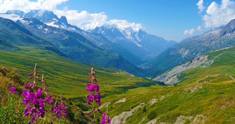 Wanderpanorama auf der Tour de Mont Blanc mit Blumen im Vordergrund und den bewölkten Gipfeln im Hintergrund